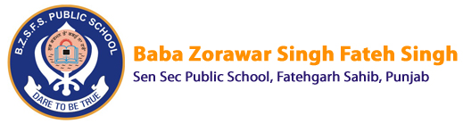 B.Z.S.F.S. Sen Sec Public School